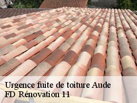 Urgence fuite de toiture 11 Aude entreprise Fayard