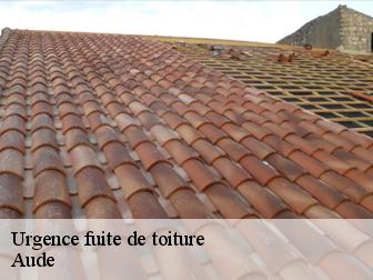 Urgence fuite de toiture