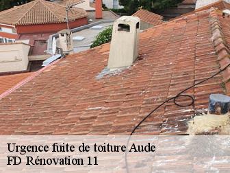 Urgence fuite de toiture