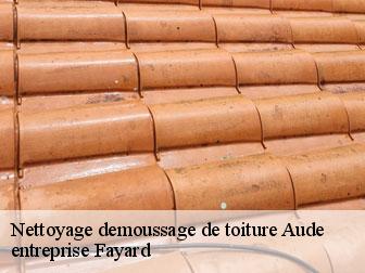 Nettoyage demoussage de toiture 11 Aude  entreprise Fayard