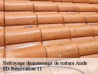 Nettoyage demoussage de toiture 11 Aude entreprise Fayard