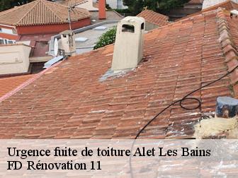 Urgence fuite de toiture