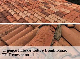 Urgence fuite de toiture 11800