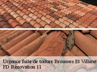 Urgence fuite de toiture 11390