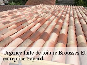 Urgence fuite de toiture  brousses-et-villaret-11390 entreprise Fayard