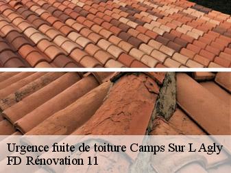 Urgence fuite de toiture 11190
