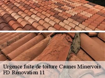 Urgence fuite de toiture 11160