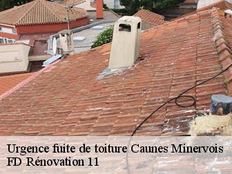 Urgence fuite de toiture