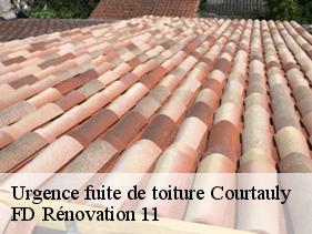 Urgence fuite de toiture courtauly-11230 entreprise Fayard