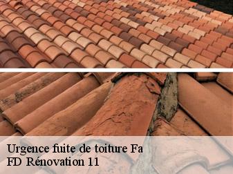 Urgence fuite de toiture 11260