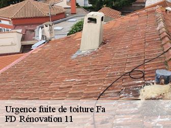 Urgence fuite de toiture