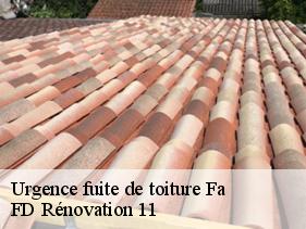 Urgence fuite de toiture fa-11260 entreprise Fayard