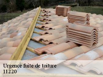 Urgence fuite de toiture 11220