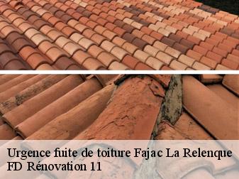 Urgence fuite de toiture 11410
