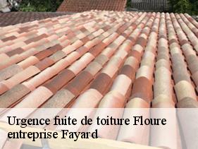 Urgence fuite de toiture  floure-11800 entreprise Fayard