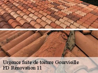 Urgence fuite de toiture 11410