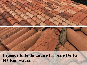 Urgence fuite de toiture 11330