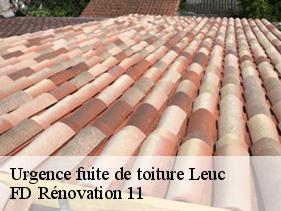 Urgence fuite de toiture leuc-11250 entreprise Fayard