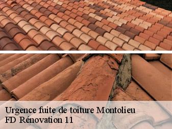 Urgence fuite de toiture 11170