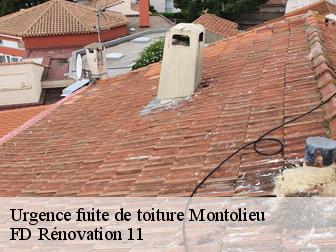Urgence fuite de toiture