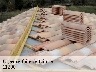 Urgence fuite de toiture 11200