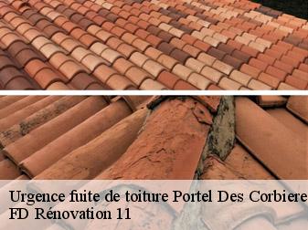 Urgence fuite de toiture 11490