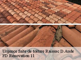 Urgence fuite de toiture 11200