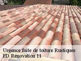 Urgence fuite de toiture rustiques-11800 entreprise Fayard