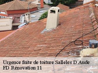 Urgence fuite de toiture