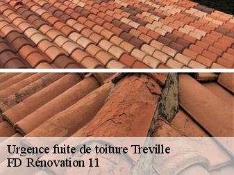 Urgence fuite de toiture 11400