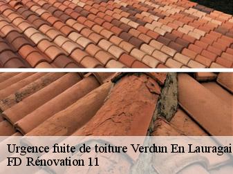Urgence fuite de toiture 11400