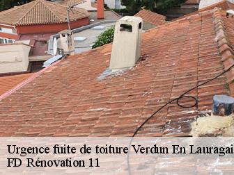 Urgence fuite de toiture