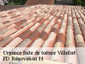 Urgence fuite de toiture villefort-11230 entreprise Fayard