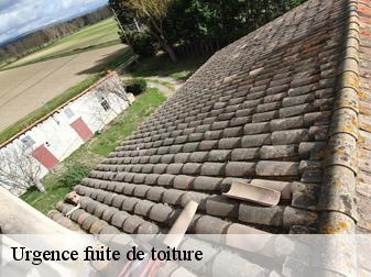 Urgence fuite de toiture