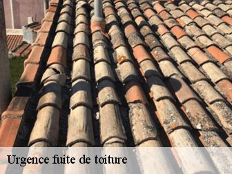 Urgence fuite de toiture