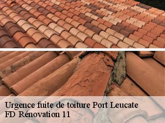 Urgence fuite de toiture 11370