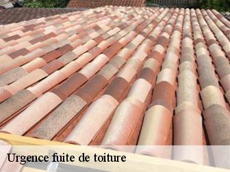 Urgence fuite de toiture 11370