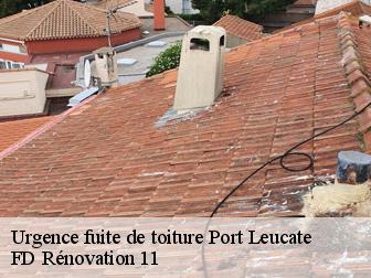 Urgence fuite de toiture