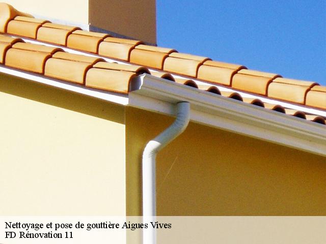 Nettoyage et pose de gouttière