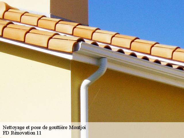 Nettoyage et pose de gouttière