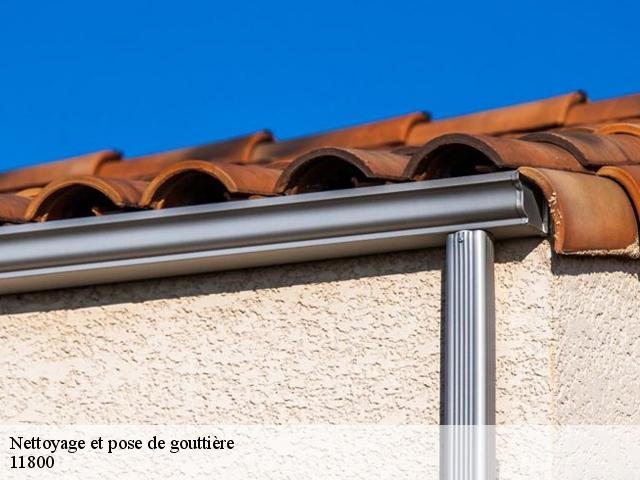 Nettoyage et pose de gouttière 11800