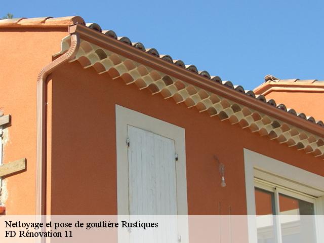 Nettoyage et pose de gouttière 11800