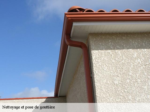 Nettoyage et pose de gouttière 11800