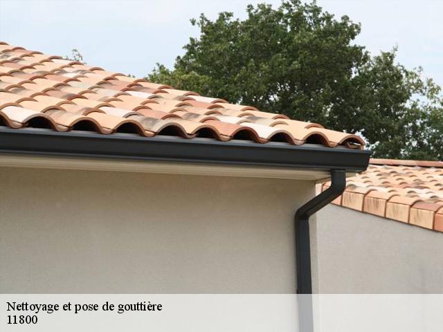 Nettoyage et pose de gouttière 11800