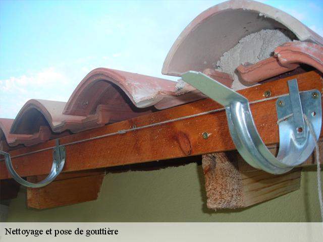 Nettoyage et pose de gouttière