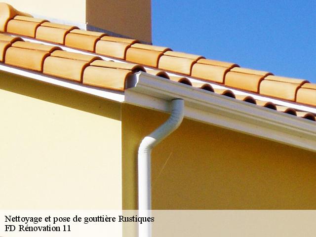 Nettoyage et pose de gouttière