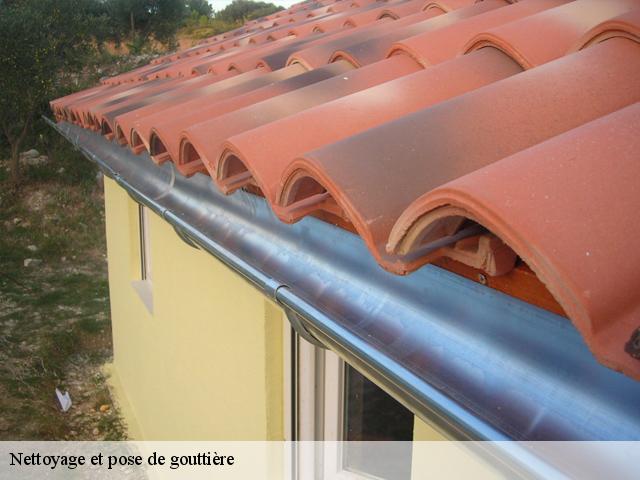 Nettoyage et pose de gouttière