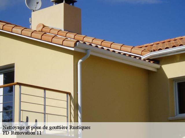 Nettoyage et pose de gouttière rustiques-11800 entreprise Fayard