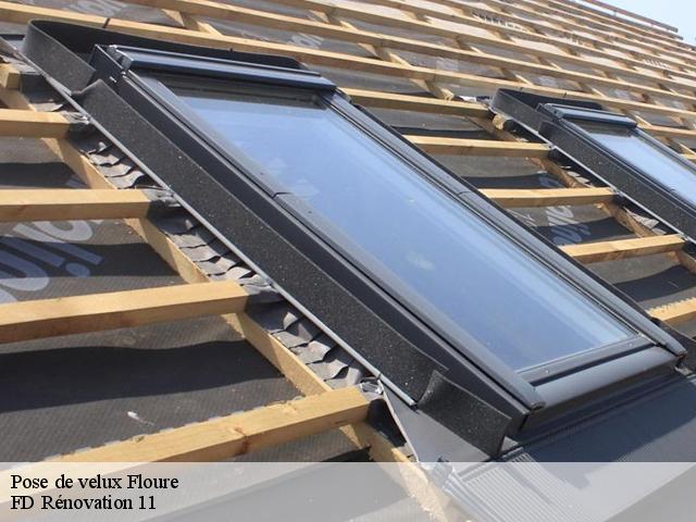 Pose de velux floure-11800 entreprise Fayard