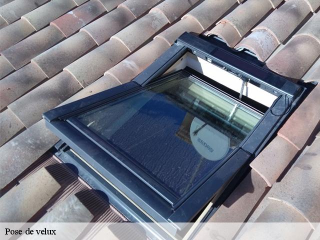 Pose de velux 11330